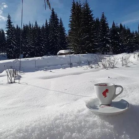 Apartamento Modern Studio Apartman Paradise Jahorina